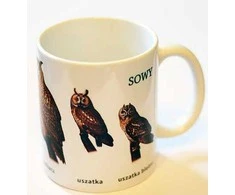 Soliton Owl taurė