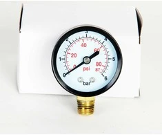 Haushalt Nežinomas Manometras PG-2, Ø 40 mm