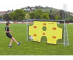 Mobilūs futbolo vartai + atmušimo sienelė Spartan 290x165x90cm