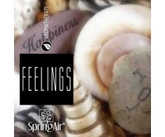 SpringAir SpringAir Oro gaiviklis Ultra Scent, 500 ml
