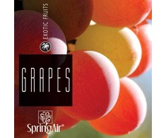 SpringAir SpringAir Oro gaiviklis Ultra Scent, 500 ml vynuogės