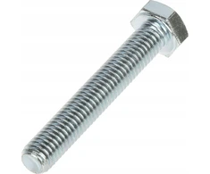 TST HEX HEAD VARŽTAS SS-M8X50/KL-8.8