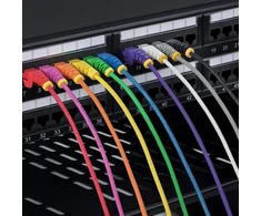 StarTech Kabelis sieciowy Slim Snagless Cat6 UTP 0,25 m Violetinis (N6PAT25CMPLS)