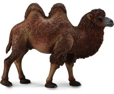 Collecta Figūrėlė Dvikupris kupranugaris (L)