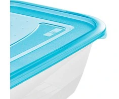 Keeeper Set of food containers rectangular 2x3,3L Fredo "Fresh" transparent/light mėlynas