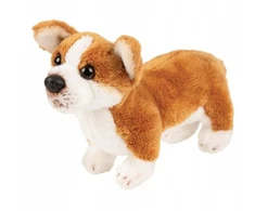 Suki Pies Corgi