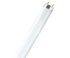 Osram 30W lempa LUMILUX T8, G13, 6500K, 908,8mm