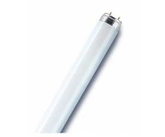 Osram 18W lempa LUMILUX T8, G13, 3000K, 604mm