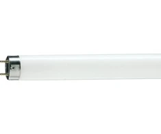 Philips Master TL-D Food linear T8 G13 58W 2800lm 3800K fluorescencinė lempa (871150070623240)