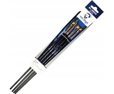 Talens Van Gogh Oil &amp; acrylic brush set | series 302-303-304-305 no. 8