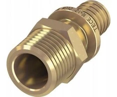 Tece Nipel perėjimas GZ 25mm x 3 / 4 "žalvaris (705507)