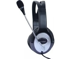 Ausinės TECHLY Stereo Headphone su mikrofonu ir Volume Control