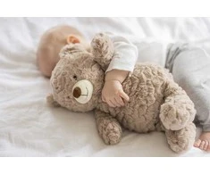 TEDDYKOMPANIET ŠILDYTUVAI MEŠKUTĖS LATĖ 35cm 7331626042277