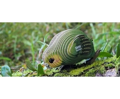 Teka Kakapo Eugy papūga Eco* 3D dėlionė