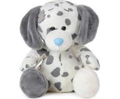 Mg Dystrybucja Teka Casey Dalmatijos talismanas
