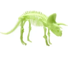 Teka tamsoje šviečiantis triceratopso skeletas