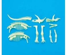 Teka tamsoje šviečiantis triceratopso skeletas