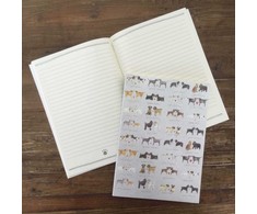 Teka Folder Notebook B5/40K line SNL01 Gražios šunų poros