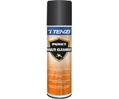 Tenzi Meistras