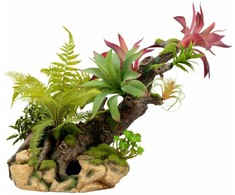 Terra Natura Augalų kompozicija terariumui 56 cm