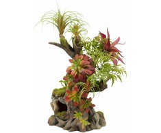 Terra Natura Augalų kompozicija terariumui 42 cm