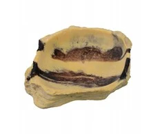 Terra Natura Terariumo dekoracija, dykumos terariumo dubuo, 12 cm