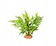 Terra Natura Terariumo dekoracija dykumos augalas ant stovo didelis 29cm