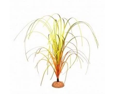 Terra Natura Terariumo dekoratyvinė žolė ant didelio pagrindo 24 cm