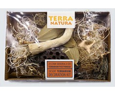Terra Natura Dekoracijų rinkinys dykumos terariumui