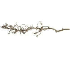Terra Natura Pietinė šaknis M, 25-35 cm