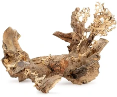 Terra Natura Skęstantis medis Bonsai nr 50 60x40