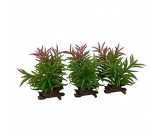 Terra Natura Crassula sukulentas, terariumo dekoracija, spalvų mišinys, 13x10,5x16 cm