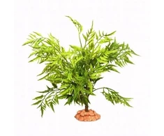 Terra Natura Terariumo dekoracija, dykumos augalas ant didelio pagrindo, 40 cm