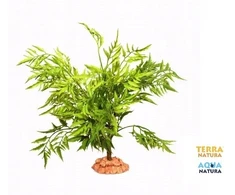 Terra Natura Terariumo dekoracija, dykumos augalas ant didelio pagrindo, 40 cm