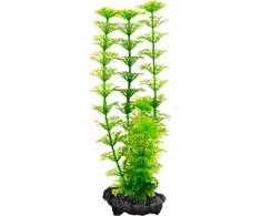 Tetra DecoArt Augalas Ambulia M