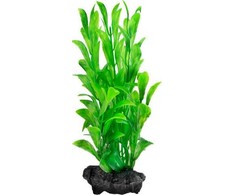 Tetra DecoArt Augalas Hygrophila M