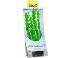 Tetra DecoArt Augalas Hygrophila M