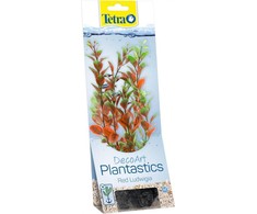 Tetra DecoArt Augalas Raudona Ludwigia M