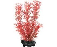 Tetra DecoArt Augalas Foxtail Raudona S