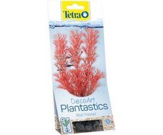Tetra DecoArt Augalas Foxtail Raudona S