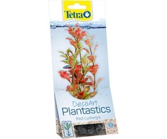 Tetra DecoArt Augalas Raudona Ludwigia S
