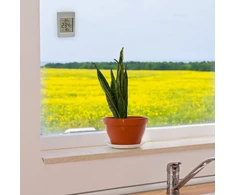 TFA 30.1067.15 langų termometras WINDOO