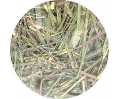 TIVO Timothy šienas 500g