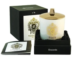Tiziana Terenzi Delox kvapioji žvakė 170 g