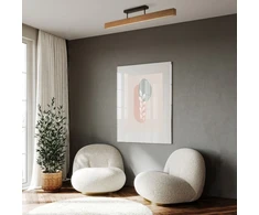 TK Lighting lubinis šviestuvas LED lubinis šviestuvas 22W TEO 6614