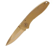 TOGO Smith &amp; Wesson – Executive – CK110GL