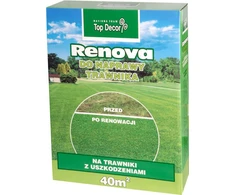 „Top Decor Grass Renova“ atnaujinimo mišinys 1kg (TD9615)