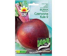 TORAF Raudonas BEET BALL 2 BETA VULGARIS L. [T. 6 M]