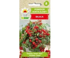 Toraf sėklos BAJAJA POMIDORIAI 0,3G