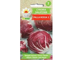 Toraf sėklos, cikorijų salotos, Palla Rosa, 3,5 g
